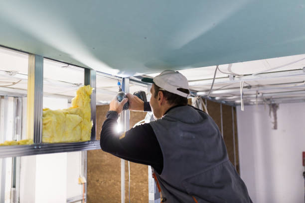 Professional Insulation Contractor in Sachse, TX