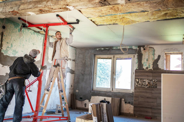 Insulation Inspection Services in Sachse, TX